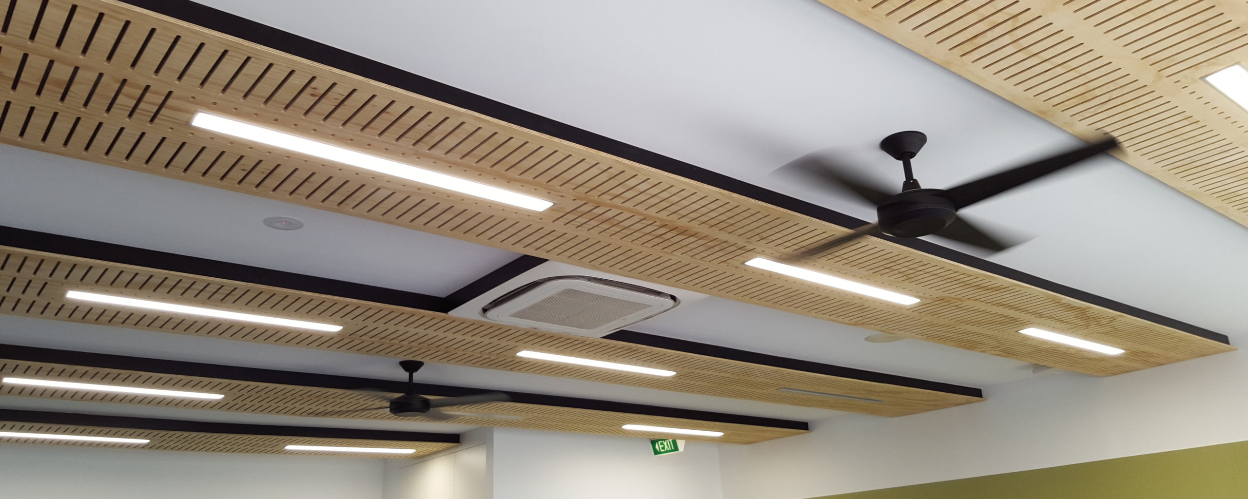 Need Perforated Or Slotted Ceiling And Wall Panels Maxi